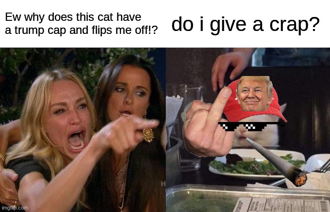 lmao | Ew why does this cat have a trump cap and flips me off!? do i give a crap? | image tagged in memes,woman yelling at cat | made w/ Imgflip meme maker