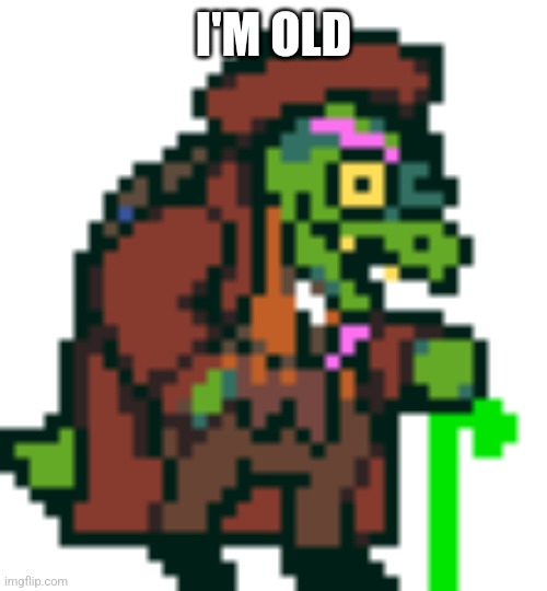 Gerson Boom Deltarune | I'M OLD | image tagged in gerson boom deltarune | made w/ Imgflip meme maker