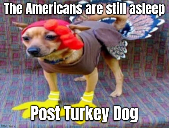 Mornin' fellow Europeanz | The Americans are still asleep; Post Turkey Dog | image tagged in turkey dog | made w/ Imgflip meme maker