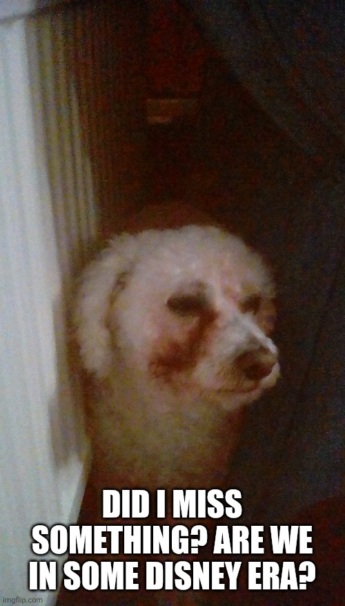 The dog that walks in | DID I MISS SOMETHING? ARE WE IN SOME DISNEY ERA? | image tagged in the dog that walks in | made w/ Imgflip meme maker