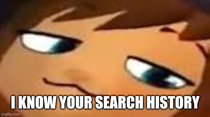 smug hat kid.mp4 | I KNOW YOUR SEARCH HISTORY | image tagged in smug hat kid mp4 | made w/ Imgflip meme maker