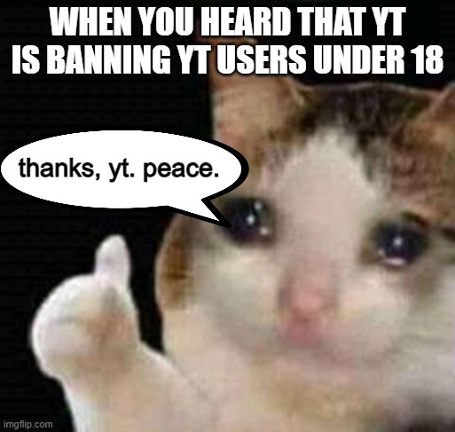 i'm crying rn | WHEN YOU HEARD THAT YT IS BANNING YT USERS UNDER 18; thanks, yt. peace. | image tagged in sad thumbs up cat,memes,sad but true | made w/ Imgflip meme maker