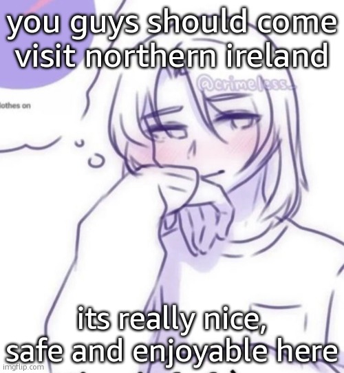 Smug look | you guys should come visit northern ireland; its really nice, safe and enjoyable here | image tagged in smug look | made w/ Imgflip meme maker
