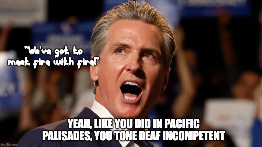 VOTE FOR ME in '28 SO I CAN RUIN THE ENTIRE COUNTRY LIKE I RUINED CALIFORNIA | "We've got to meet fire with fire!"; YEAH, LIKE YOU DID IN PACIFIC PALISADES, YOU TONE DEAF INCOMPETENT | image tagged in newsom,president,failure | made w/ Imgflip meme maker