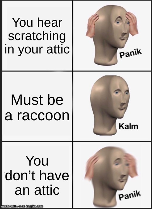 racoon in attic | You hear scratching in your attic; Must be a raccoon; You don’t have an attic | image tagged in memes,panik kalm panik | made w/ Imgflip meme maker