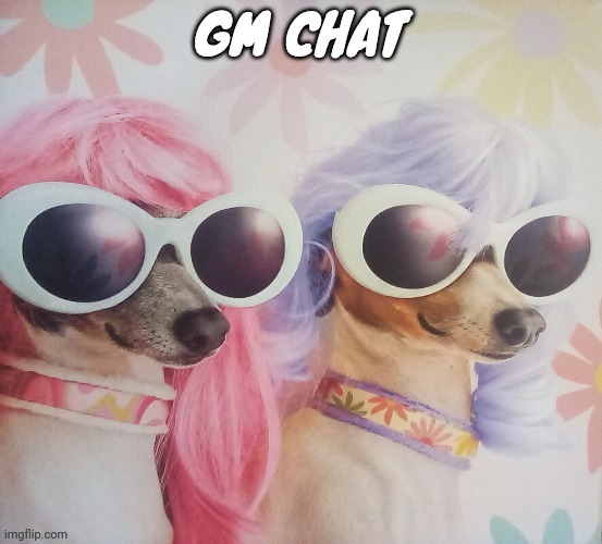 Groovy dawgs | GM CHAT | image tagged in groovy dawgs | made w/ Imgflip meme maker