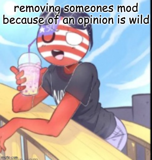 twink 'merica | removing someones mod because of an opinion is wild | image tagged in twink 'merica | made w/ Imgflip meme maker