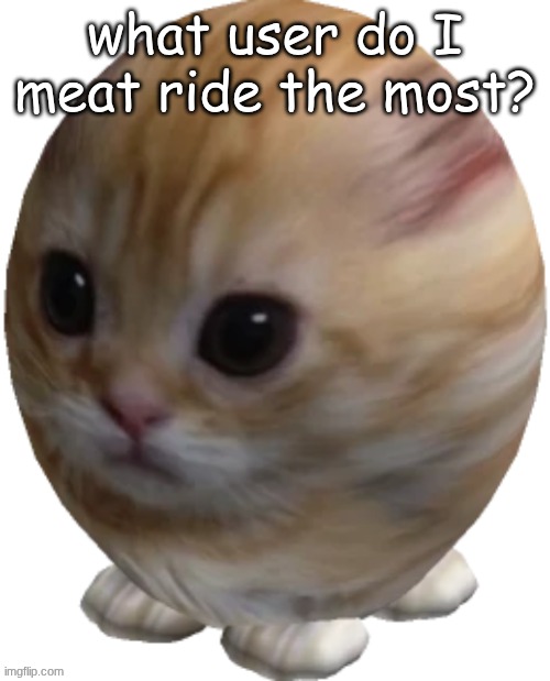 egg gatito | what user do I meat ride the most? | image tagged in egg gatito | made w/ Imgflip meme maker