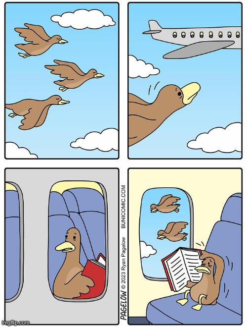 image tagged in comics,ducks,airplane,hiding | made w/ Imgflip meme maker