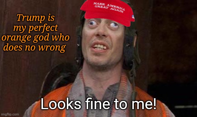 Looks Good To Me | Trump is my perfect orange god who does no wrong Looks fine to me! | image tagged in looks good to me | made w/ Imgflip meme maker