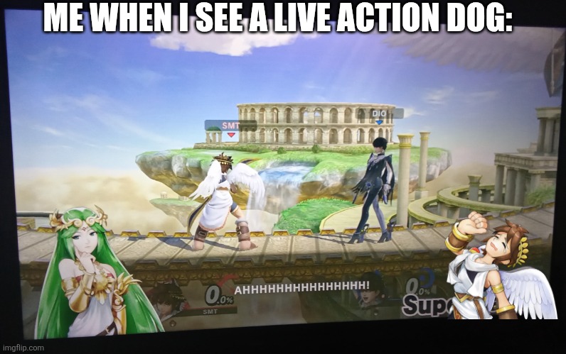I am scared of dogs | ME WHEN I SEE A LIVE ACTION DOG: | image tagged in pit screaming,dogs,live action,kid icaurus,superman | made w/ Imgflip meme maker