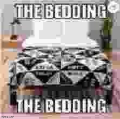 the bedding | made w/ Imgflip meme maker