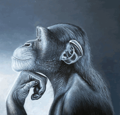 Monkey Ragebait Blank Meme Template