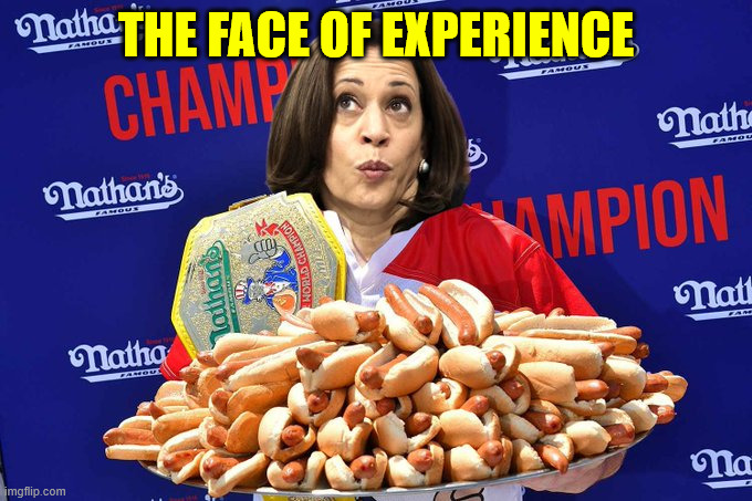 "experience" | THE FACE OF EXPERIENCE | image tagged in political,reposts | made w/ Imgflip meme maker