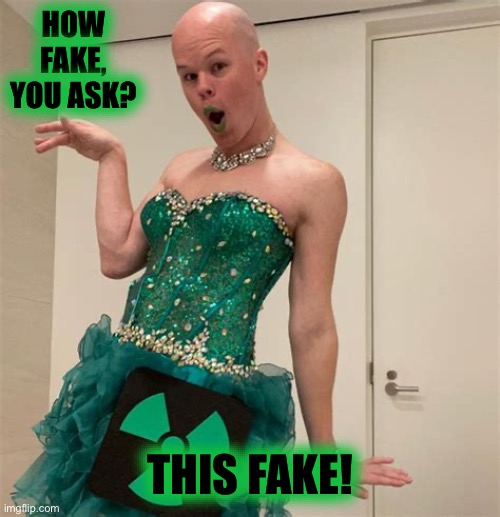 Sam Brinton | HOW FAKE, YOU ASK? THIS FAKE! | image tagged in sam brinton | made w/ Imgflip meme maker