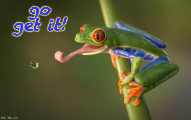 Frog Friday once again (thank Freya!) | go get it! | image tagged in thirsty frog,friday,energy | made w/ Imgflip meme maker