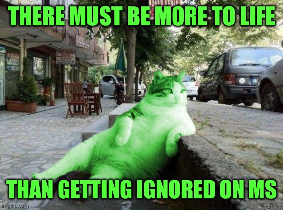 RayCat relaxing on Friday | THERE MUST BE MORE TO LIFE; THAN GETTING IGNORED ON MS | image tagged in raycat relaxing,memes | made w/ Imgflip meme maker