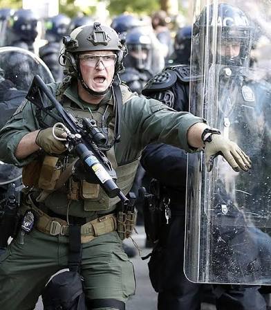 Scaredy Cops Blank Meme Template