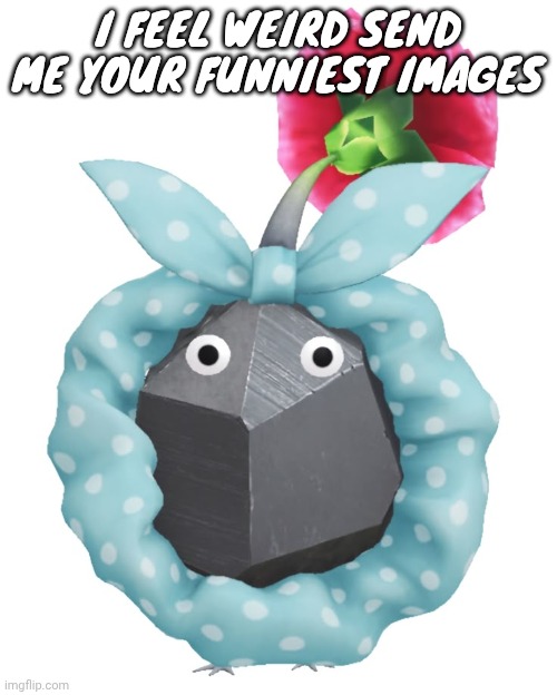 Scrunchie rock pikmin | I FEEL WEIRD SEND ME YOUR FUNNIEST IMAGES | image tagged in scrunchie rock pikmin | made w/ Imgflip meme maker