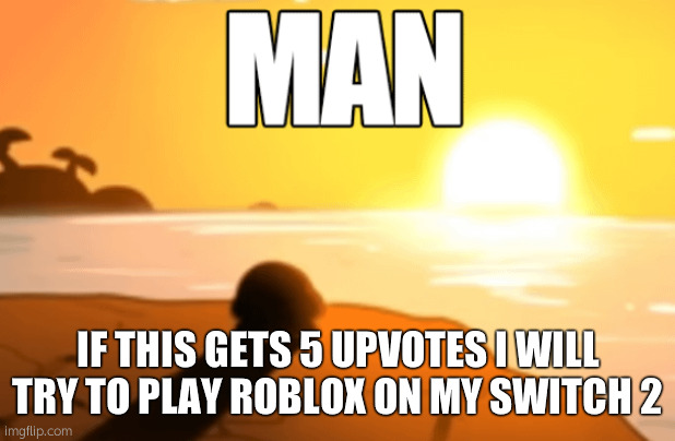 Man | IF THIS GETS 5 UPVOTES I WILL TRY TO PLAY ROBLOX ON MY SWITCH 2 | image tagged in man | made w/ Imgflip meme maker