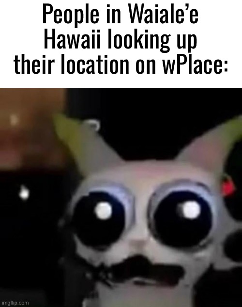 theres a giant primarina. I think you know where this is going | People in Waiale’e Hawaii looking up their location on wPlace: | image tagged in scared car | made w/ Imgflip meme maker