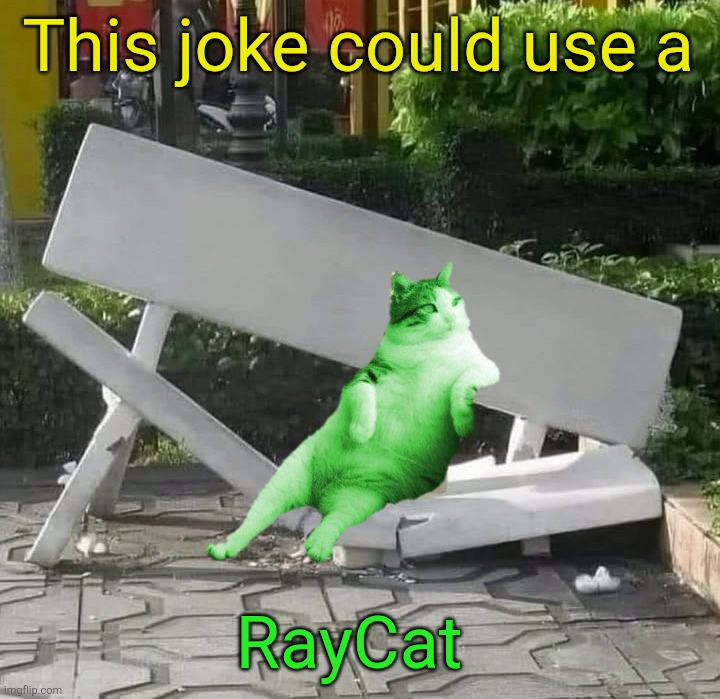 cat on broken bench | This joke could use a RayCat | image tagged in cat on broken bench | made w/ Imgflip meme maker