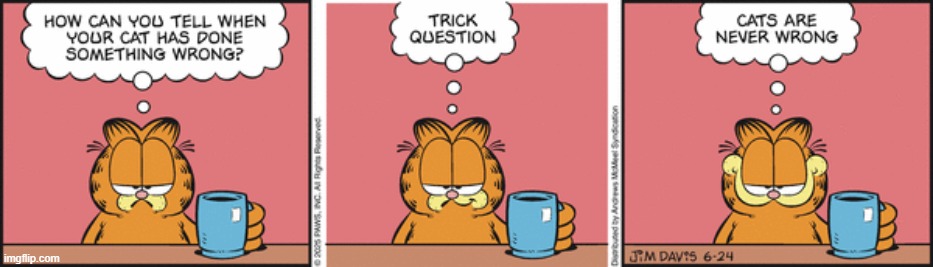 Garfield | image tagged in comics | made w/ Imgflip meme maker