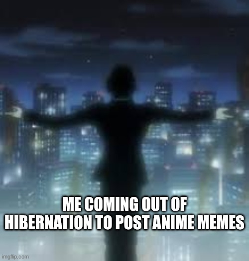 CHAT I'M BACK | ME COMING OUT OF HIBERNATION TO POST ANIME MEMES | image tagged in hxh,hunter x hunter,i'm back | made w/ Imgflip meme maker