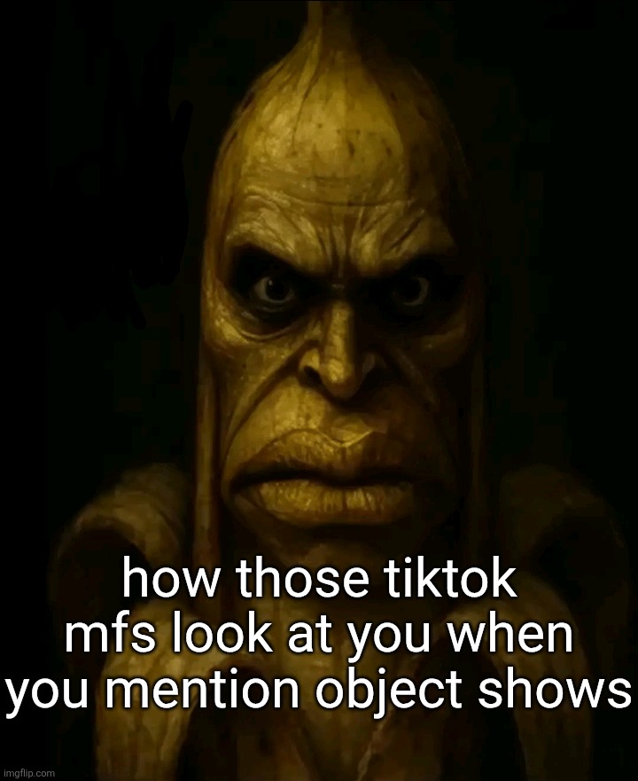 how those tiktok mfs look at you when you mention object shows | made w/ Imgflip meme maker