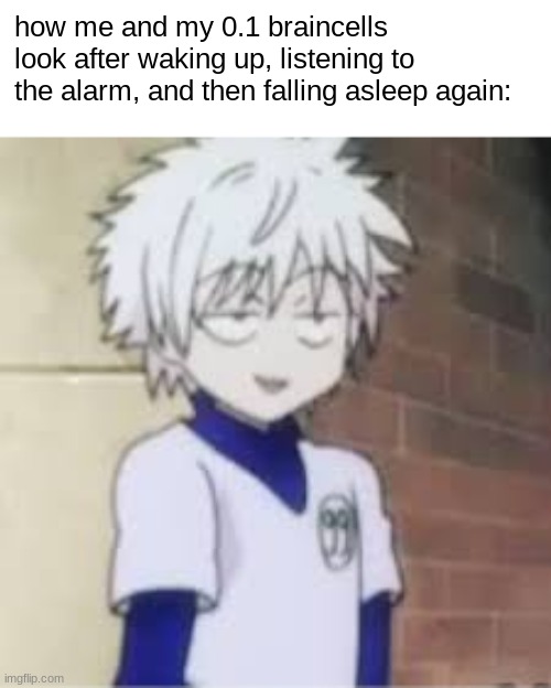 I'm so eepy  T-T | how me and my 0.1 braincells look after waking up, listening to the alarm, and then falling asleep again: | image tagged in killua lq | made w/ Imgflip meme maker