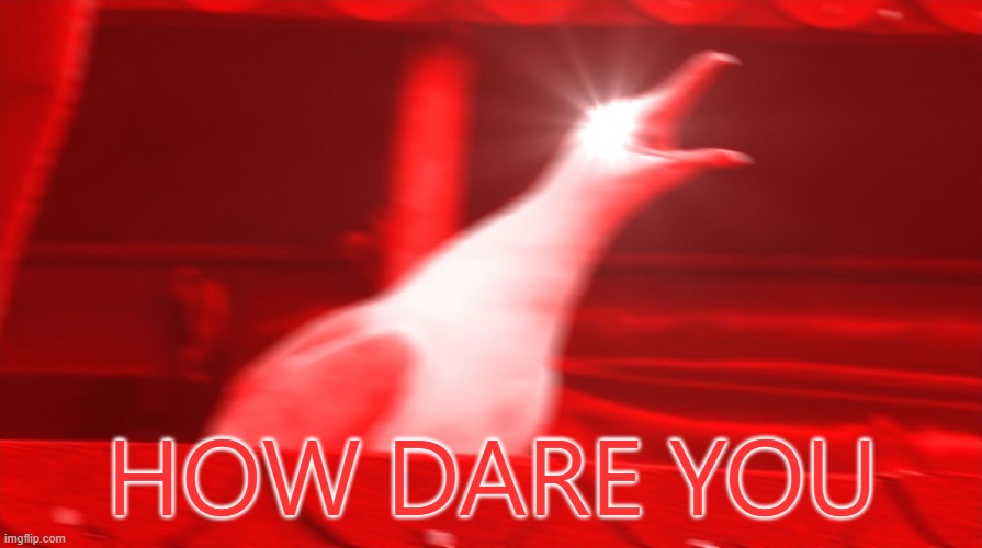 HOW DARE YOU | image tagged in angry seagull | made w/ Imgflip meme maker
