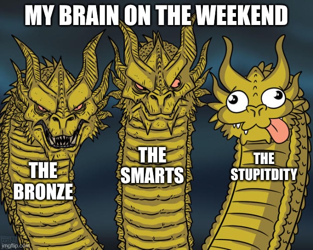 Three-headed Dragon | MY BRAIN ON THE WEEKEND; THE SMARTS; THE STUPITDITY; THE BRONZE | image tagged in three-headed dragon,stupid | made w/ Imgflip meme maker