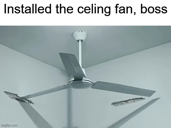 sure. job well done | Installed the celing fan, boss | image tagged in you had one job,why | made w/ Imgflip meme maker