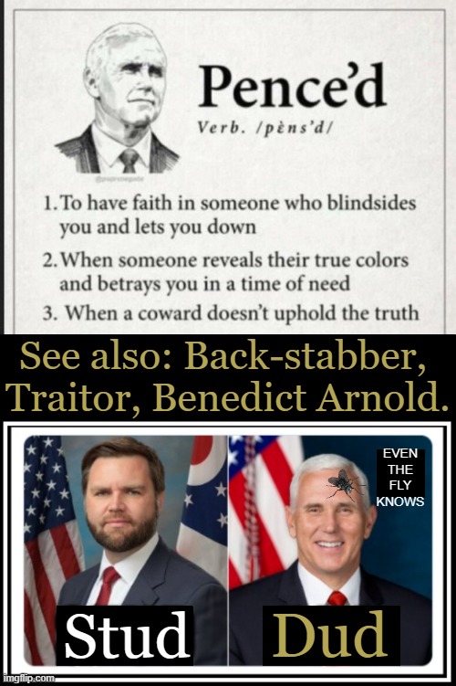 When we needed a Republican, we got a RINO | See also: Back-stabber, 
Traitor, Benedict Arnold. EVEN
THE
FLY
KNOWS; Dud; Stud | image tagged in mike pence,rino,downhill slide,democrats,definition,political humor | made w/ Imgflip meme maker