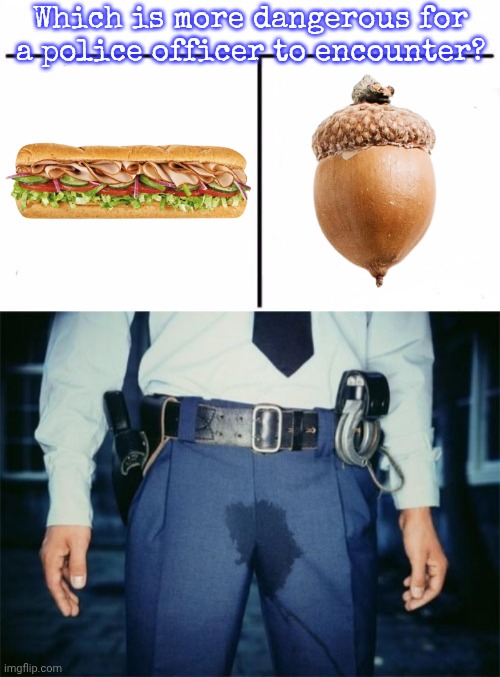 They usually pretend to be braver than everyone else. | Which is more dangerous for a police officer to encounter? | image tagged in who would win blank,scared cops,special snowflake,cowards,terror,kids afraid of rabbit | made w/ Imgflip meme maker