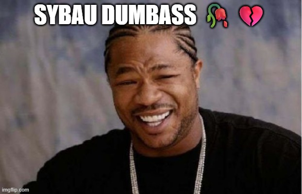 Sybau | SYBAU DUMBASS 🥀💔 | image tagged in memes,yo dawg heard you | made w/ Imgflip meme maker