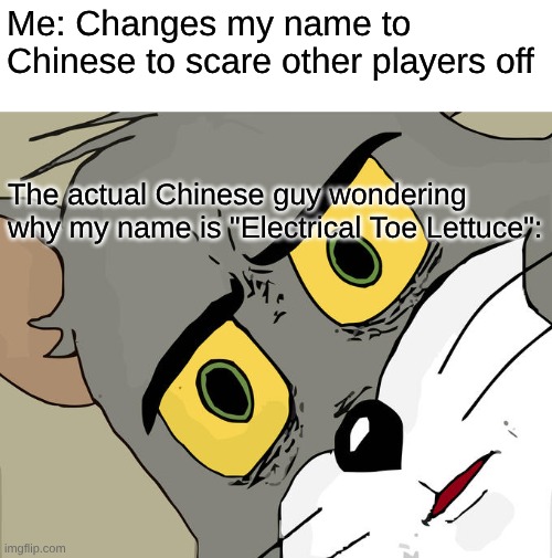 電趾萵苣 | Me: Changes my name to Chinese to scare other players off; The actual Chinese guy wondering why my name is "Electrical Toe Lettuce": | image tagged in memes,unsettled tom | made w/ Imgflip meme maker