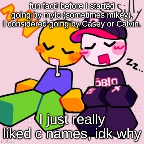 Gayass noob temp | fun fact! before I started going by mylo (sometimes mikey), I considered going by Casey or Calvin. I just really liked c names, idk why | image tagged in gayass noob temp | made w/ Imgflip meme maker