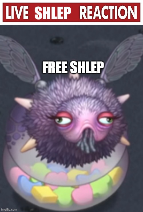 live shLep reaction | FREE SHLEP | image tagged in live shlep reaction | made w/ Imgflip meme maker