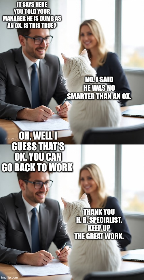 IT SAYS HERE YOU TOLD YOUR MANAGER HE IS DUMB AS AN OX. IS THIS TRUE? NO. I SAID HE WAS NO SMARTER THAN AN OX. OH, WELL I GUESS THAT'S OK. YOU CAN GO BACK TO WORK; THANK YOU H. R. SPECIALIST. KEEP UP THE GREAT WORK. | image tagged in smudge that darn cat with karen | made w/ Imgflip meme maker
