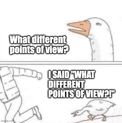 Goose Chase | What different points of view? I SAID "WHAT DIFFERENT POINTS OF VIEW?!" | image tagged in goose chase | made w/ Imgflip meme maker