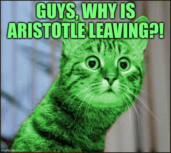RayCat WTF | GUYS, WHY IS ARISTOTLE LEAVING?! | image tagged in raycat wtf | made w/ Imgflip meme maker
