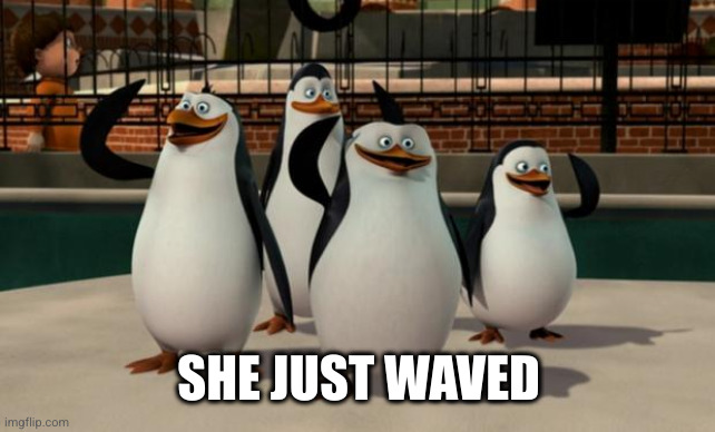 Just smile and wave boys | SHE JUST WAVED | image tagged in just smile and wave boys | made w/ Imgflip meme maker
