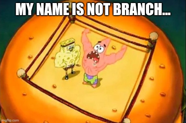 My name is not Branch... | MY NAME IS NOT BRANCH... | image tagged in my name is not rick | made w/ Imgflip meme maker