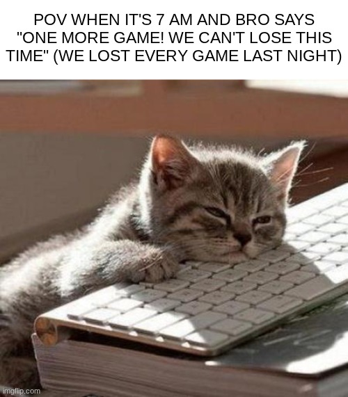 tired cat | POV WHEN IT'S 7 AM AND BRO SAYS "ONE MORE GAME! WE CAN'T LOSE THIS TIME" (WE LOST EVERY GAME LAST NIGHT) | image tagged in tired cat,tired,gaming,bro,nah | made w/ Imgflip meme maker