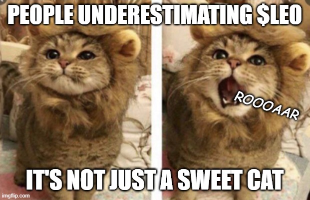 Very cute | PEOPLE UNDERESTIMATING $LEO; ROOOAAR; IT'S NOT JUST A SWEET CAT | image tagged in very cute | made w/ Imgflip meme maker