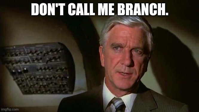 Don't Call Me Branch. | DON'T CALL ME BRANCH. | image tagged in surely you can't be serious and don't call me shirley,trolls,branch,airplane | made w/ Imgflip meme maker