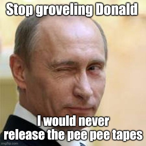 Putin Winking | Stop groveling Donald I would never release the pee pee tapes | image tagged in putin winking | made w/ Imgflip meme maker