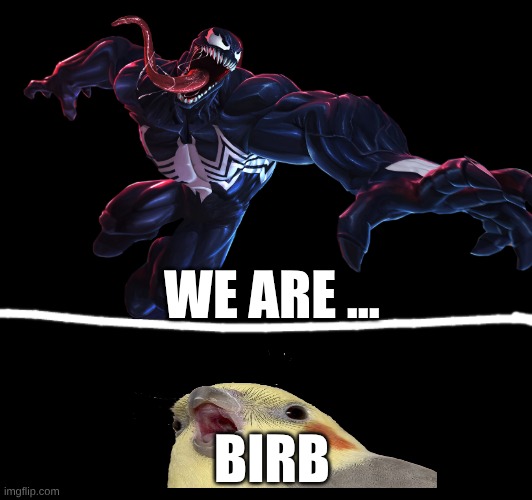 we are... birb | WE ARE ... BIRB | image tagged in bird | made w/ Imgflip meme maker