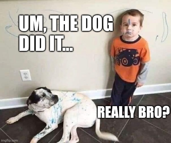 Um, The Dog Did It... Really Bro? | UM, THE DOG 
DID IT... REALLY BRO? | image tagged in chrisjoines1 | made w/ Imgflip meme maker
